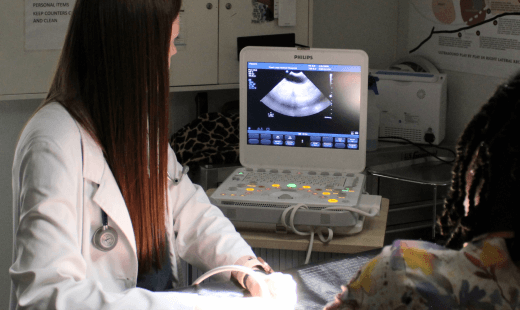 Veterinary Diagnostics & Imaging