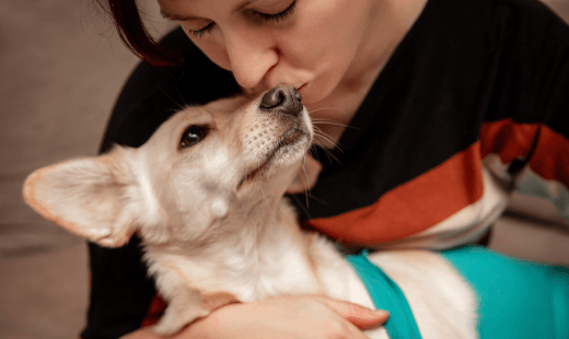 Hospice & Euthanasia