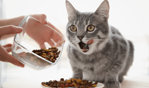 Pharmacy & Prescription Food